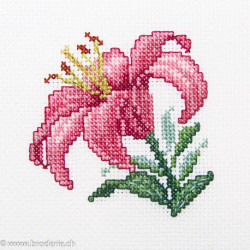 RTO, kit "Pink lily" (RTOH247)