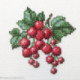 RTO, kit "Redcurrant" (RTOH252)