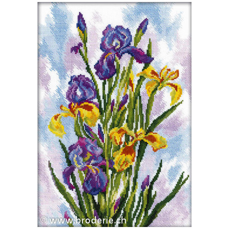 RTO, kit "Watercolor Irises" (RTOM287)