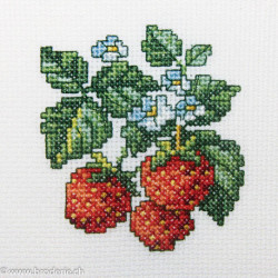 RTO, kit "Wild strawberries" (RTOH251)