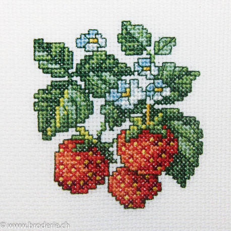 RTO, kit "Wild strawberries" (RTOH251)