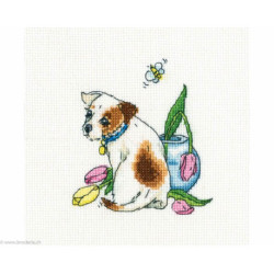 RTO, kit After all, she flew away (RTOC299)