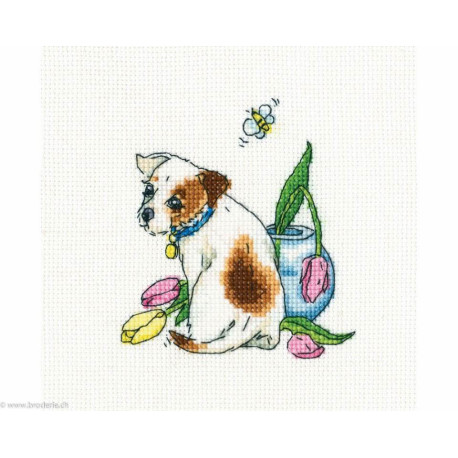 RTO, kit After all, she flew away (RTOC299)