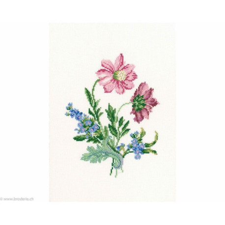 RTO, kit Anéemones (RTOC260)