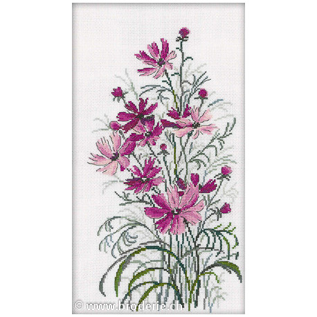 RTO, kit bouquet de Cosmos (RTOM260)