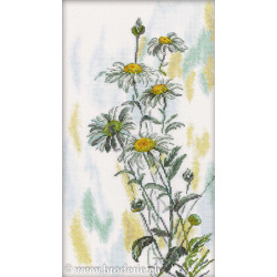RTO, kit bouquet de Tender Daisies (RTOM261)