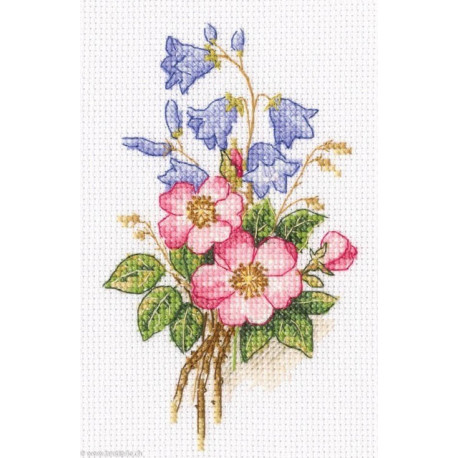 RTO, kit Briar and bluebells (RTOC325)