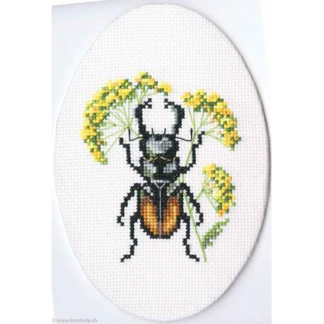 RTO, kit Bug on hair's ear (RTOEH366)