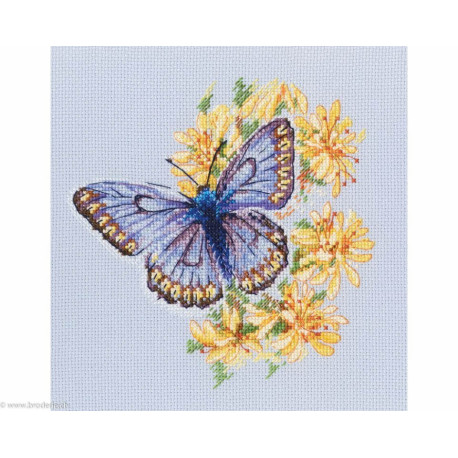 RTO, kit Butterfly on the flower (RTOM750)