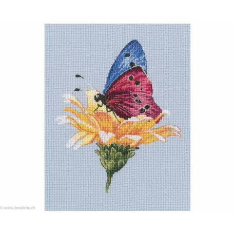 RTO, kit Butterfly on the flower (RTOM751)