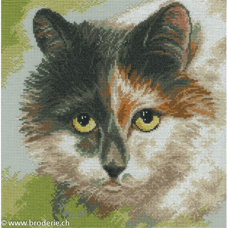 RTO, kit Cat's eyes (RTOM414)