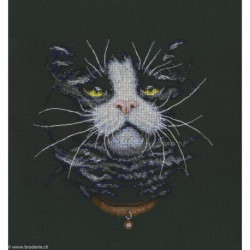 RTO, kit Cats Favorite (RTOM576)