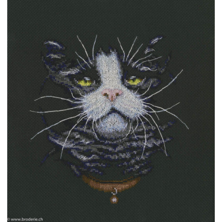 RTO, kit Cats Favorite (RTOM576)