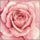 RTO, kit coeur de rose rose (RTOC070)