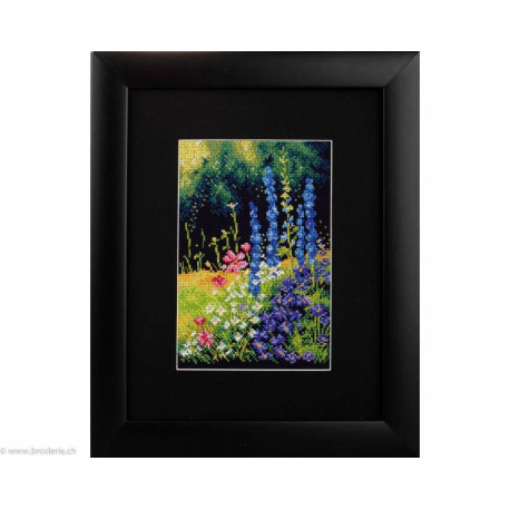 RTO, kit Delphiniums and Cosmos (RTOM626)