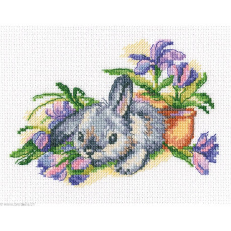 RTO, kit Eared and curious (RTOC288)