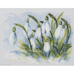 RTO, kit Early snowdrops (RTOM585)