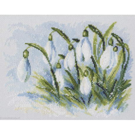 RTO, kit Early snowdrops (RTOM585)