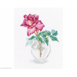 RTO, kit Excellence (RTOM806)