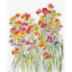 RTO, kit Flower Watercolour (RTOM581)