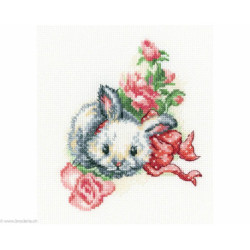 RTO, kit Fluffy Gift (RTOC289)