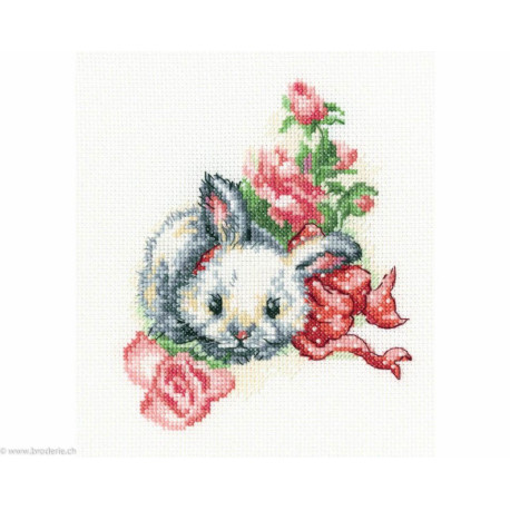 RTO, kit Fluffy Gift (RTOC289)