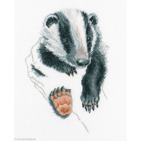 RTO, kit In Palms Blaireau (RTOM820)