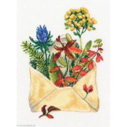 RTO, kit Letter from the forest (RTOM768)