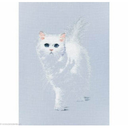 RTO, kit Lightsome (RTOM780)