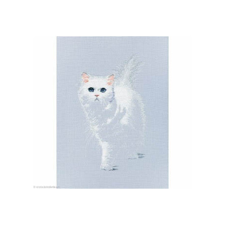 RTO, kit Lightsome (RTOM780)