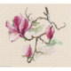 RTO, kit Magnolia flowers (RTOM731)