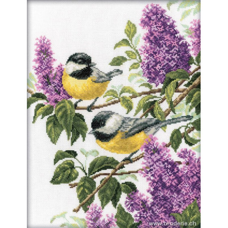 RTO, kit mésanges et lilas (RTOM227)