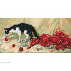 RTO, kit Nipper (RTOM614)