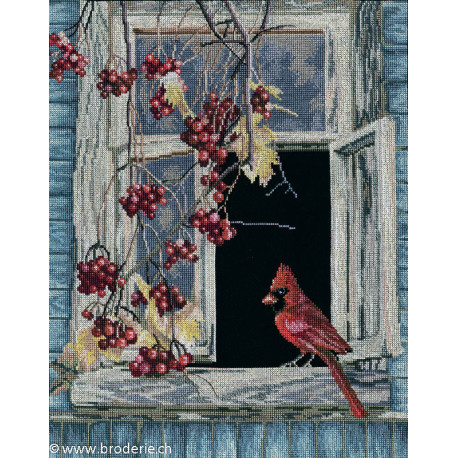 RTO, kit Old Window (RTOM454)