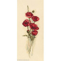 RTO, kit Oriental Poppies (RTOM449)