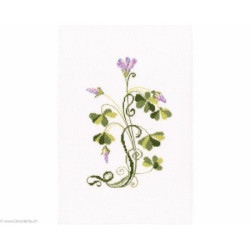 RTO, kit Oxalis (RTOC258)