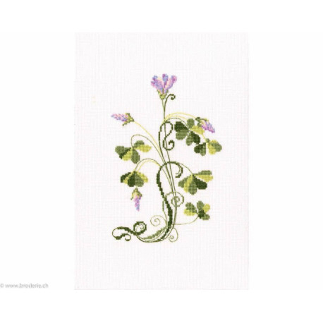 RTO, kit Oxalis (RTOC258)