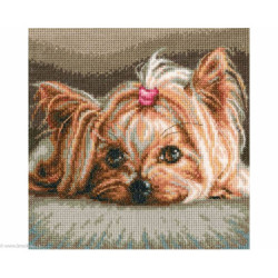 RTO, kit Pet (RTOM709)