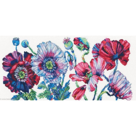 RTO, kit Purple Poppies (RTOM604)