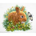 RTO, kit Rabbit and Butterfly (RTOM323)