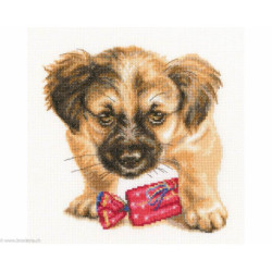 RTO, kit Refreshment (RTOM707)