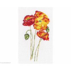 RTO, kit Silk Poppies (RTOM628)