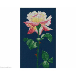 RTO, kit Singing to the light (RTOM690)