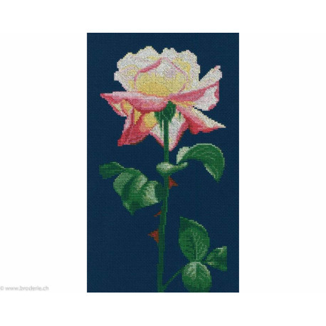 RTO, kit Singing to the light (RTOM690)