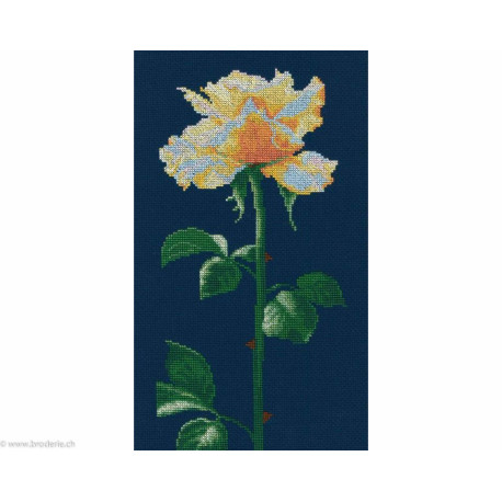 RTO, kit Singing to the light (RTOM691)