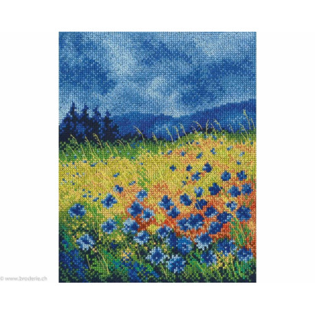 RTO, kit Skyblue cornflowers (RTOM625)