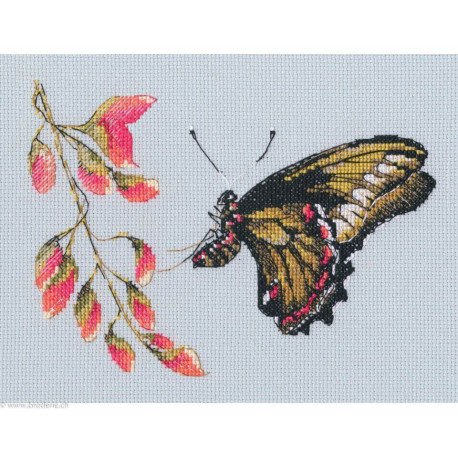 RTO, kit Slightly floating (RTOM754)