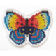 RTO, kit sur bois perforé déco - magnet papillon (RTOEHW022)
