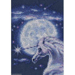 RTO, kit Symbol of Nobi (RTOC244)