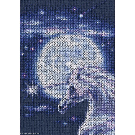 RTO, kit Symbol of Nobi (RTOC244)